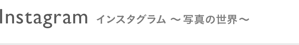 手描きtシャツの音 雅楽 Wash 出産祝いや 誕生日のプレゼントに手描きtシャツ 手書きtシャツ の通販